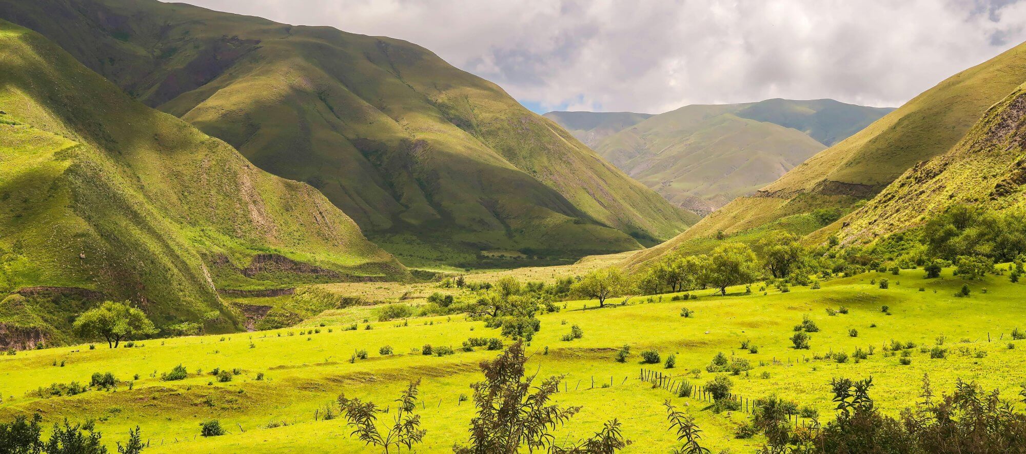 Why Argentina Banner